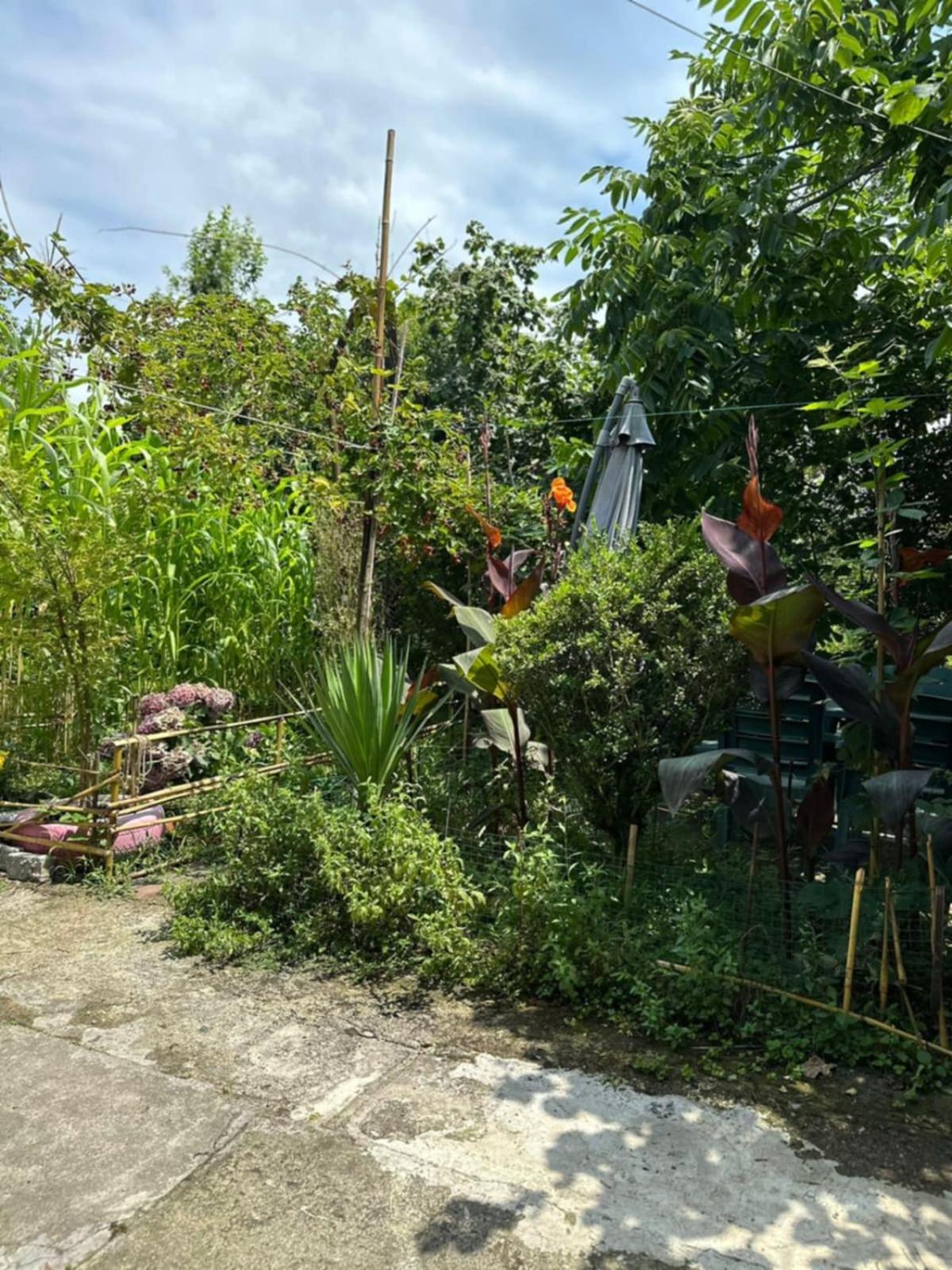Guest House Barbi Batumi Bagian luar foto