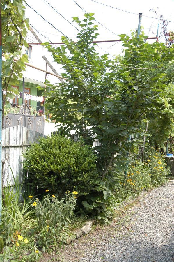 Guest House Barbi Batumi Bagian luar foto