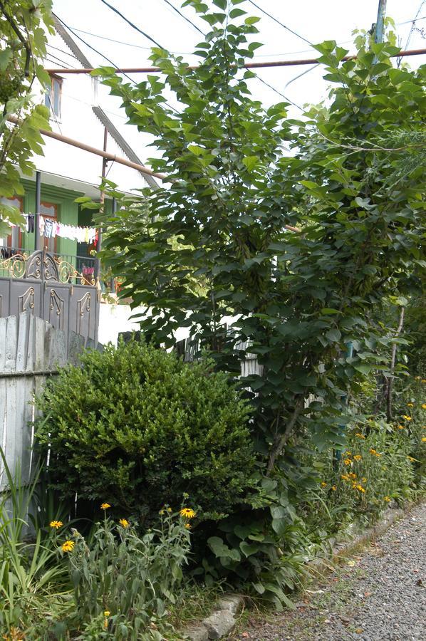 Guest House Barbi Batumi Bagian luar foto